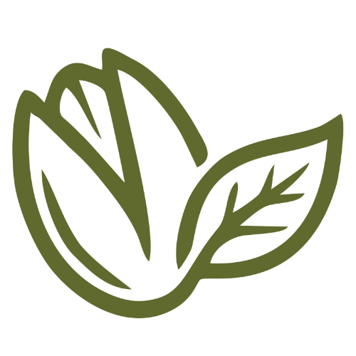 Lian Pistachio Logo